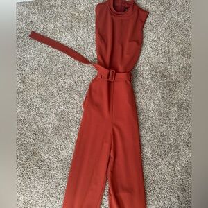 Express Burnt Orange Fall Jumpsuit